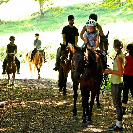 Kempfenhof Apartament