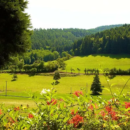 Apartament Kempfenhof Seelbach (Baden-Wurttemberg)