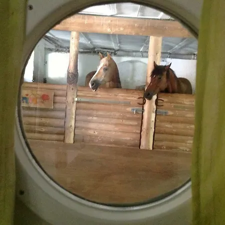 Kempfenhof Seelbach (Baden-Wurttemberg)