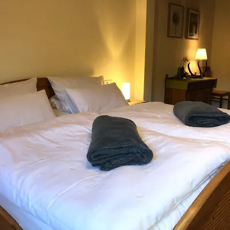 Kempfenhof Apartament Seelbach (Baden-Wurttemberg)