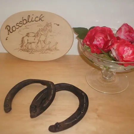 Apartament Kempfenhof Seelbach (Baden-Wurttemberg)