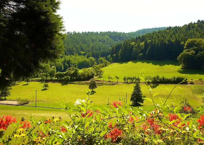 Daire Kempfenhof Seelbach (Baden-Wurttemberg)