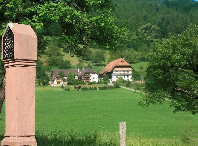 Kempfenhof Daire Seelbach (Baden-Wurttemberg)