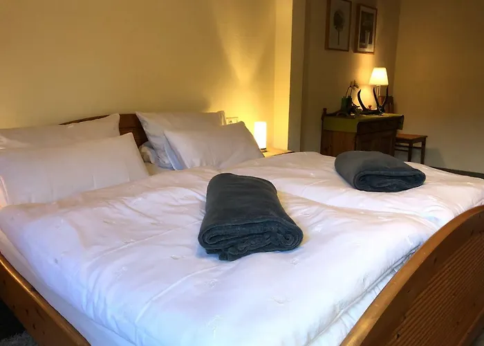 Kempfenhof Daire Seelbach (Baden-Wurttemberg)