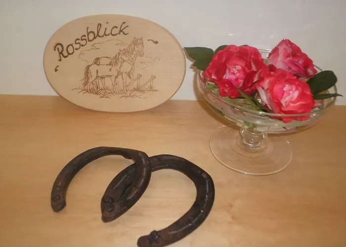 Daire Kempfenhof Seelbach (Baden-Wurttemberg)