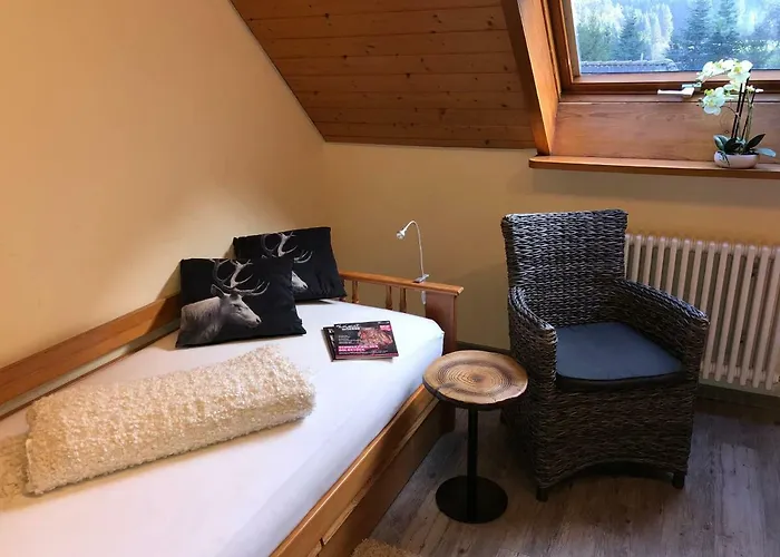 Daire Kempfenhof Seelbach (Baden-Wurttemberg)